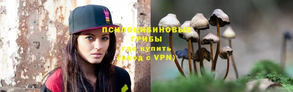 МДПВ Абаза