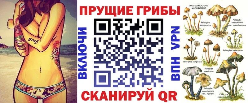 Галлюциногенные грибы мицелий  МЕГА как зайти  Сухиничи 